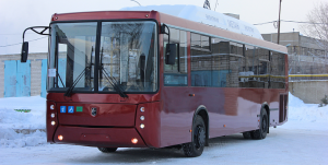 Автобус Нефаз 5299-0000020-31 (Voith D854.5E авт.) 6